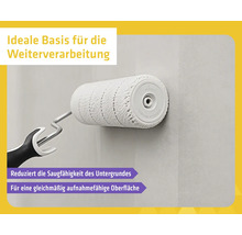 Farbwalze beim Auftragen von Grundierung auf eine Wand, reduziert die Saugfähigkeit für eine gleichmäßige Oberfläche zur Weiterverarbeitung.