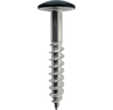 Eine Metallschraube mit flachem Tellerkopf und ausgeprägtem Gewinde, die in einer Spitze endet.