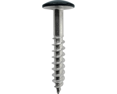 Eine Metallschraube mit flachem Tellerkopf und ausgeprägtem Gewinde, die in einer Spitze endet.