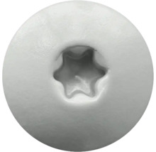 Schraubenkopf aus Metall mit Torx-Antrieb.
