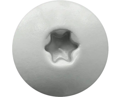 Schraubenkopf aus Metall mit Torx-Antrieb.