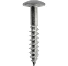 Spenglerschraube aus Edelstahl mit Flachkopf und Teilgewinde.