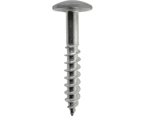 Spenglerschraube aus Edelstahl mit Flachkopf und Teilgewinde.
