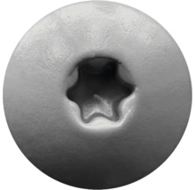 Nahaufnahme eines Schraubenkopfes mit Torx-Antrieb.