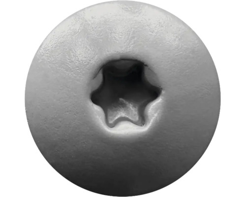 Nahaufnahme eines Schraubenkopfes mit Torx-Antrieb.