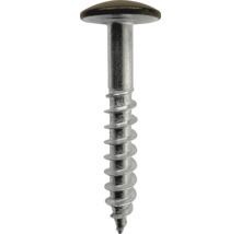 Rundkopfschraube aus Metall mit Teilgewinde und scharfer Spitze.