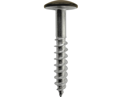 Rundkopfschraube aus Metall mit Teilgewinde und scharfer Spitze.