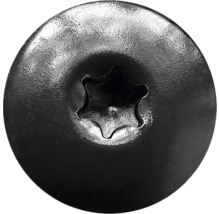 Draufsicht auf einen runden Schraubenkopf mit Torx-Antrieb aus Metall.