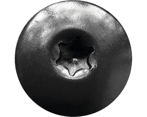 Draufsicht auf einen runden Schraubenkopf mit Torx-Antrieb aus Metall.