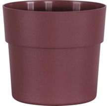 Runder Blumentopf aus Kunststoff mit breitem Rand.