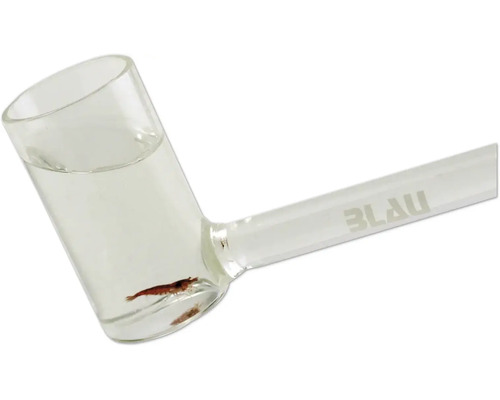 Garnelenfangrohr aus Glas mit einer kleinen Garnele im wassergefüllten Auffangbecher und dem Blau Logo.