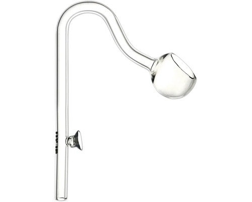 Transparente Lily Pipe aus Glas für Aquarien, gebogen, mit Saugnapf.