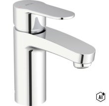Avital Einhebel Waschtischarmatur in metallischer Ausführung mit Einhandhebel zur einfachen Bedienung für das Badezimmer. (Image AI modified or generated)