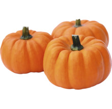 Drei kleine Speisekürbisse für die Herbstdekoration oder zum Verzehr.