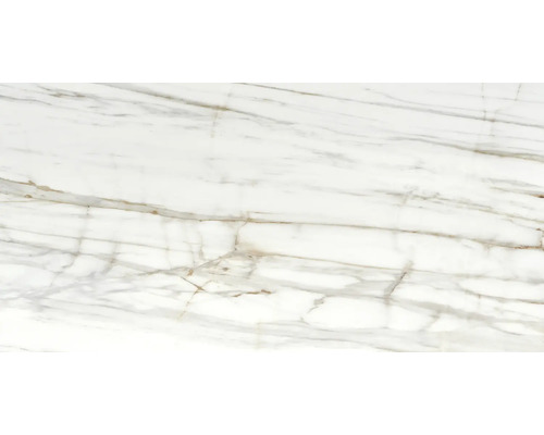 Wandfliese mit Marmoroptik mit charakteristischer Maserung für eine elegante Innenraumgestaltung