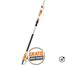 Stihl Akku Hochentaster mit Teleskopschaft inklusive gratis Akku (Image AI modified or generated)