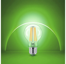 Philips LED Filament Lampe mit Schraubsockel und Glaskolben