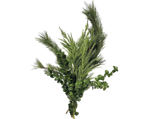 Dekorativer Strauß aus Tannenzweigen und Buchsbaum als weihnachtliches Arrangement.