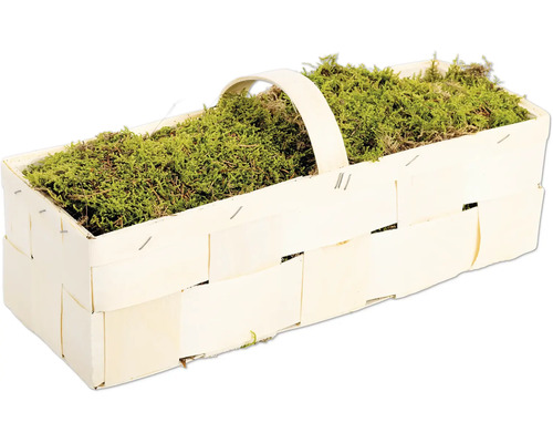 Rechteckiger Pflanzkorb aus Holzspan mit Henkel, gefüllt mit dekorativem Moos für florale Arrangements.