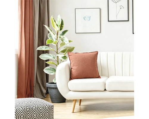 Ein helles Wohnzimmer mit weißem Sofa, einem dekorativen Kissen in Rostbraun, einer Zimmerpflanze im Topf und gemustertem Hocker.
