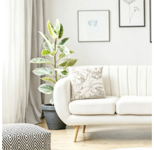 Ein helles Wohnzimmer mit Sofa, dekoriert mit einem Kissen mit Pflanzenmuster, daneben eine Zimmerpflanze und ein gemusterter Sitzhocker.