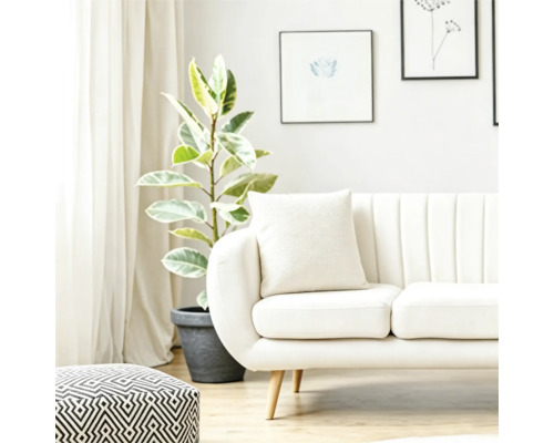 Helles Wohnzimmer mit modernem Sofa, Kissen, gemustertem Hocker und einer großen Pflanze im Topf vor einem Fenster mit Vorhängen.