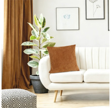 Ein Dekokissen auf einem modernen weißen Sofa im Wohnzimmer mit einer Topfpflanze und Vorhängen im Hintergrund.