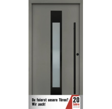 Moderne Haustür mit vertikalem Glaseinsatz und Stangengriff. Enthält Aron Logo für zwanzig Jahre Jubiläum.
