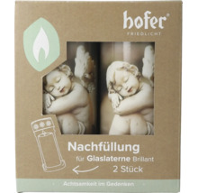 Hofer Friedlicht Nachfüllung für Glaslaterne Brillant, 2 Stück Grabkerzen mit Engelmotiv für die Grabgestaltung.