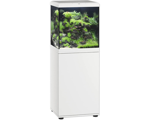 Quadratisches Aquarium mit Unterschrank in weißer Optik, inklusive aufwendiger Unterwasserlandschaft mit Pflanzen, Steinen und Fischen.