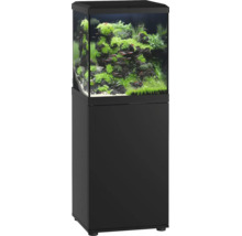 Quadratisches Aquarium mit Unterschrank in Schwarz eingerichtet mit Pflanzen und Zierfischen.