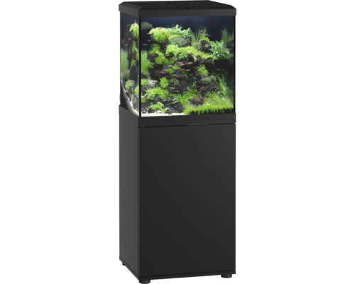 Quadratisches Aquarium mit Unterschrank in Schwarz eingerichtet mit Pflanzen und Zierfischen.