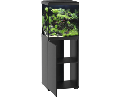 Quadratisches Aquarium mit Unterschrank in modernem Design, bepflanzt mit Gestein und Fischen, ideal für die Heimaquaristik.