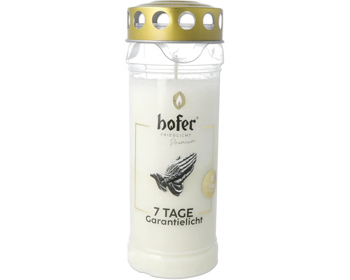 Hofer Friedlicht Premium Grablicht mit 7 Tagen Brenndauer in zylindrischer Form mit Deckel.