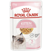Royal Canin Kitten Nassfutter für Katzenbabys bis zwölf Monate in einem 85 Gramm Frischebeutel mit Stückchen in Gelee.