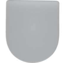 Ein einzelner WC Sitz Deckel in klassischer Form aus Kunststoff zur Montage auf einer Toilette