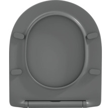 Grauer WC Sitz in ovaler Form für das Badezimmer