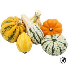 Verschiedene Zierkürbisse in unterschiedlichen Formen und Größen für die Herbstdekoration (Image AI modified or generated)