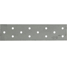 Verzinkter Lochplattenverbinder aus Stahl für Holzverbindungen mit CE Kennzeichnung