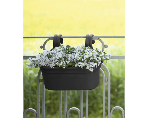 Balkonkasten zur Aufhängung am Geländer mit bepflanzten weißen Blumen.