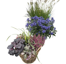 Herbstlicher Pflanzkorb mit verschiedenen Blumen, Gräsern und Blühpflanzen in einem Weidenkorb für den Außenbereich.