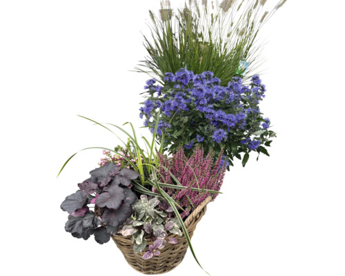 Herbstlicher Pflanzkorb mit verschiedenen Blumen, Gräsern und Blühpflanzen in einem Weidenkorb für den Außenbereich.