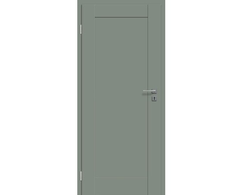Moderne Innentür mit glatter Oberfläche und einer integrierten Türdrückergarnitur.