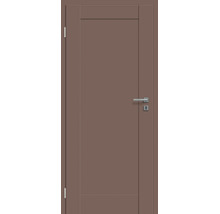 Moderne Innentür mit schlichtem Design und Türdrücker in metallischer Optik.