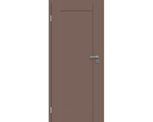 Moderne Innentür mit schlichtem Design und Türdrücker in metallischer Optik.