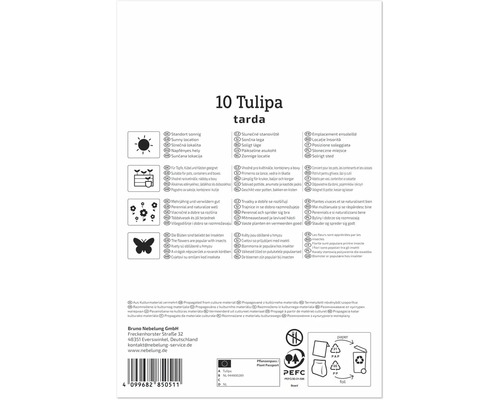 Rückseite der Produktverpackung für Blumenzwiebeln Tulipa tarda mit Informationen zu Standort und Pflanzhinweisen sowie Entsorgungssymbolen.