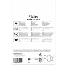 Rückseite einer Samenverpackung für Tulipa turkestanica mit Pflanzanleitung, Symbolen für Standort, Pflege, Bienenfreundlichkeit und Recycling.