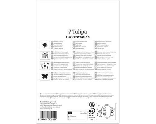 Rückseite einer Samenverpackung für Tulipa turkestanica mit Pflanzanleitung, Symbolen für Standort, Pflege, Bienenfreundlichkeit und Recycling.