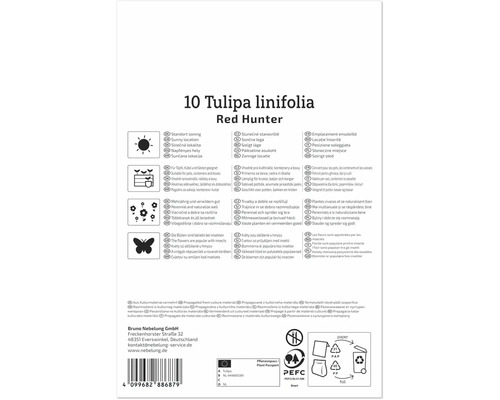 Rückseite einer Produktverpackung für Tulipa linifolia Red Hunter Zwiebeln mit Informationen zu Standort, Pflanzung und Umweltsymbolen.
