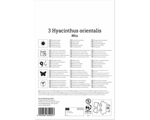 Rückseite der Produktverpackung für Hyacinthus orientalis Mix mit Symbolen zu Standort, Anwendung, Duft, Insektenfreundlichkeit und Winterhärte.